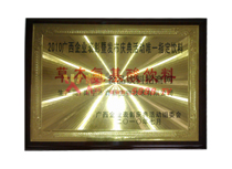 2010VI(y)߰l(f)c(dng)Ψһָ