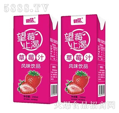 É(mng)ݮֹʲݮ֭L(fng)ζƷ250ml