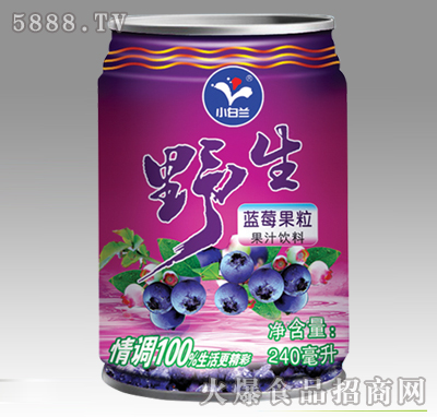 СmҰ{ݮ֭240ml