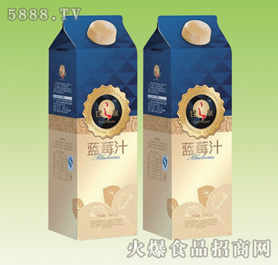 ֮Ȫ{ݮ֭1000ml