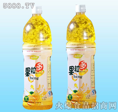 1.5L¶Դζ