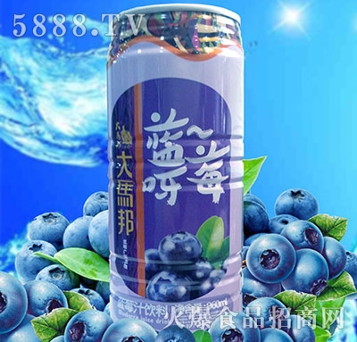 R{(ln)ݮ֭960ml