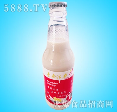 H240ml