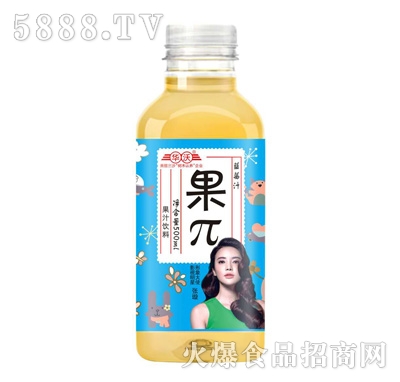Aֹ{(ln)ݮ֭500ml