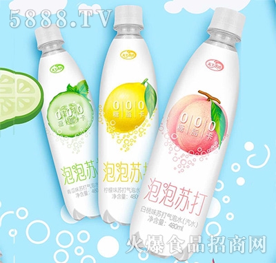 ˮKˮ480ml