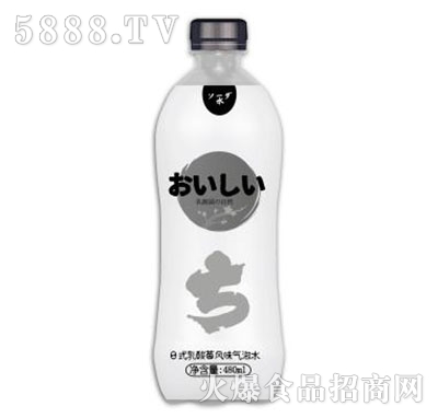 L(fng)ζˮ480ml