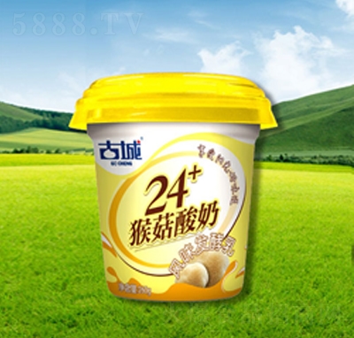 ų24+Ǳﹽţ
