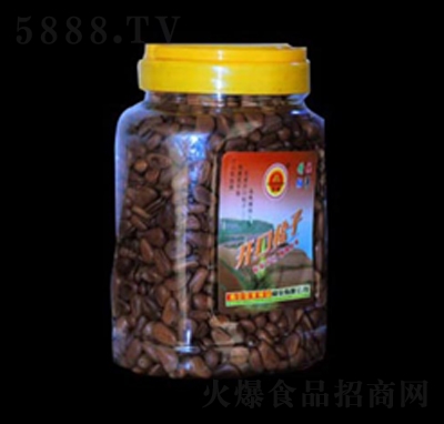ҁ_650g