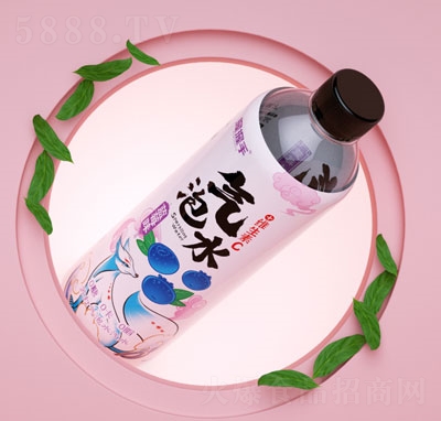 ֚ˮ{ݮζ500ml