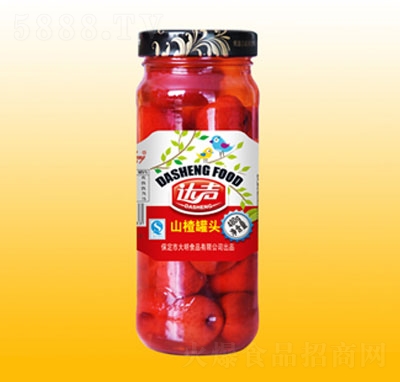 _480gɽ髹^