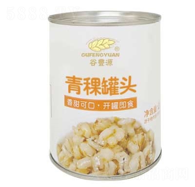 SԴ^900g