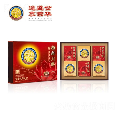 sAYY540g