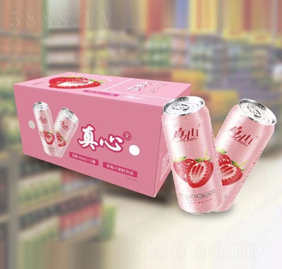 Ĳݮ֭Ʒ500mlX15