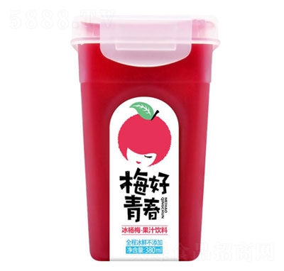 ӿ÷֭380ml