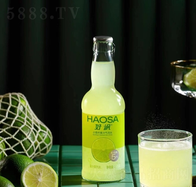 SСζ֭ˮ275ml֭ˮ