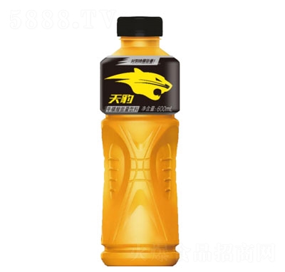 600ml