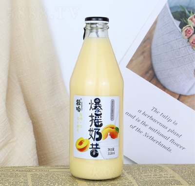 pSLζ318ml