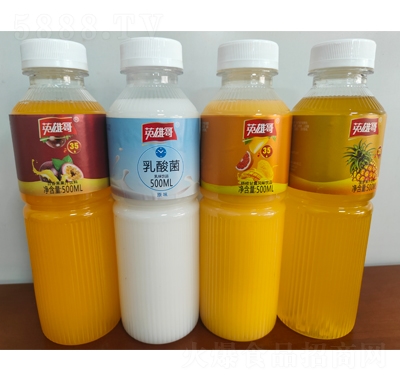 Ӣ۸֭500ml