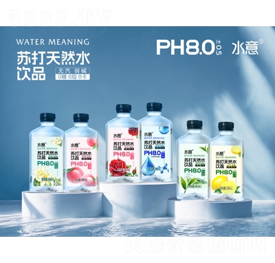 ˮKȻˮƷ380ml