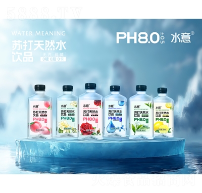 ˮKȻˮƷ380ml
