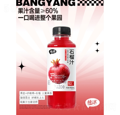 ʯ֭480ml