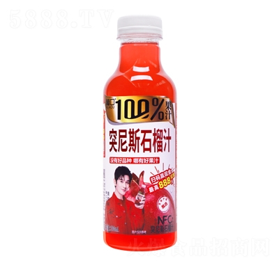 Ͽ100%ͻ˹ʯ֭500mlЪ棩