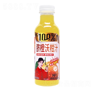 Ͽ100%Ěָ֭500mlЪ棩