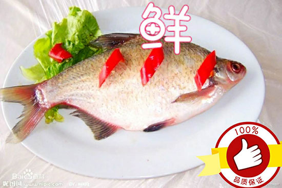 魚(yú)樂(lè)味視大刀武昌魚(yú)1 魚(yú)樂(lè)味視大刀武昌魚(yú)1