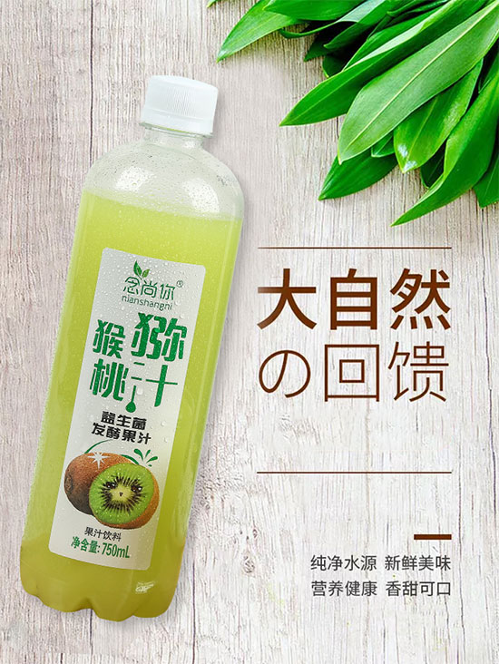 念尚你獼猴桃汁益生菌發(fā)酵果汁 念尚你獼猴桃汁益生菌發(fā)酵果汁