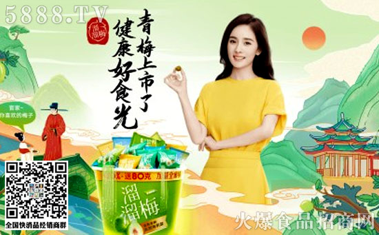 溜溜梅 溜溜梅