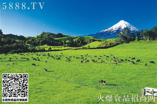 恒天然 恒天然