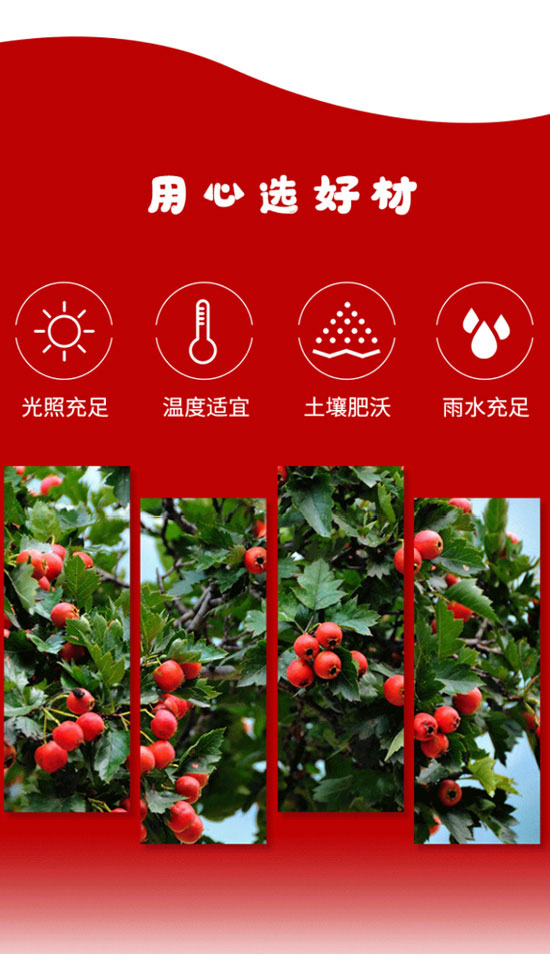 唐山市四通食品有限公司-果汁1_03 唐山市四通食品有限公司-果汁1_03