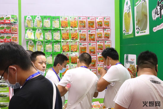 鄭州中部食博會 鄭州中部食博會