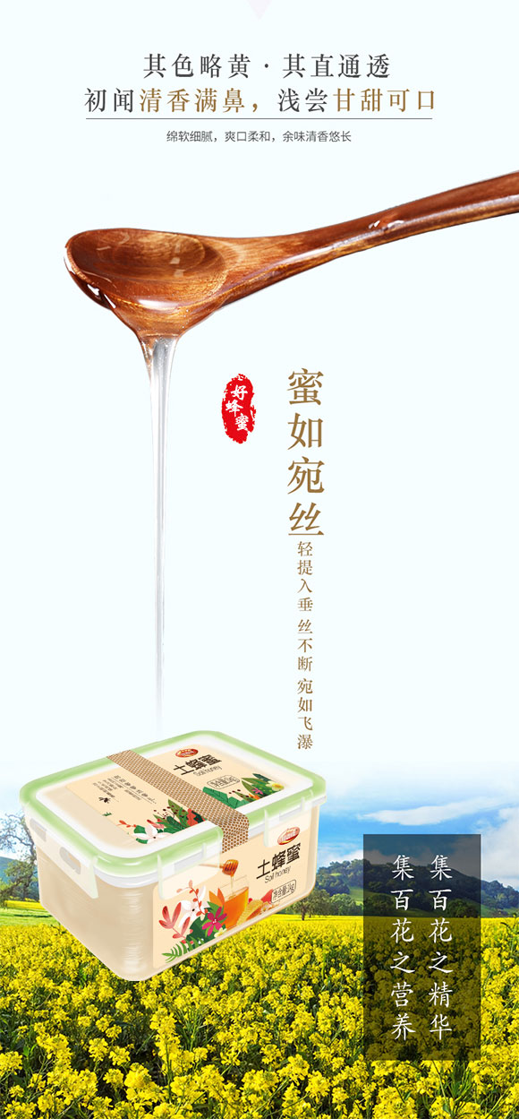 蜂蜜_01 蜂蜜_01