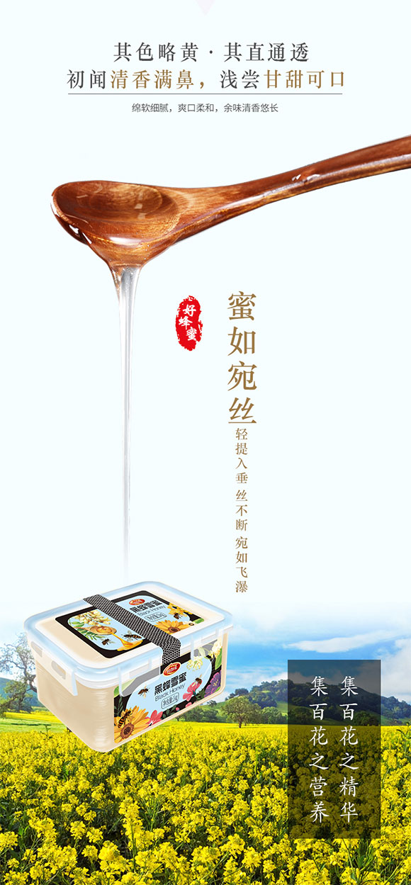 蜂蜜_01 蜂蜜_01