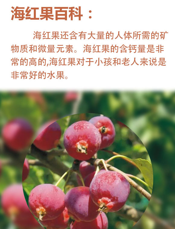 山西海紅樹(shù)食品有限公司-藍(lán)色玻璃瓶_02 山西海紅樹(shù)食品有限公司-藍(lán)色玻璃瓶_02