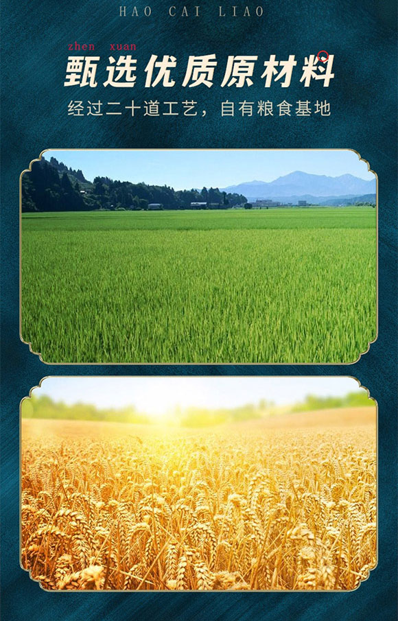 同福集團(tuán)股份有限公司-八寶粥2_04 同福集團(tuán)股份有限公司-八寶粥2_04