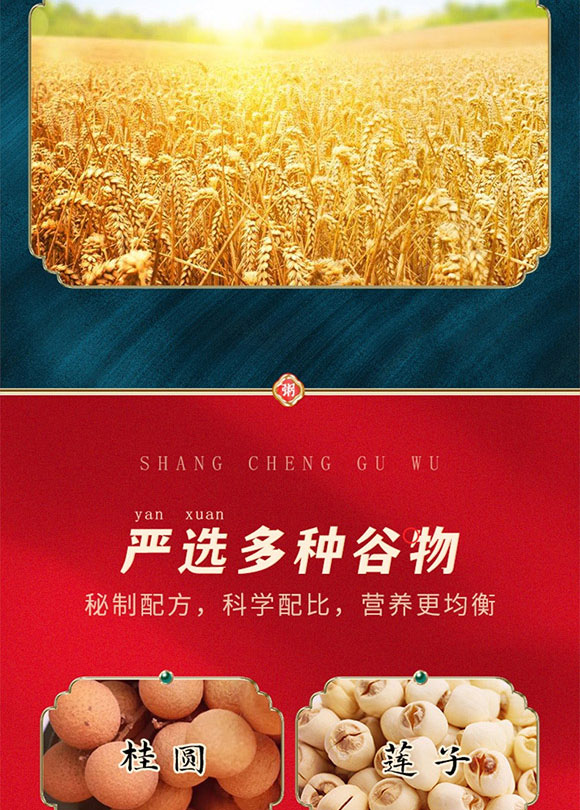 同福集團(tuán)股份有限公司-八寶粥3_05 同福集團(tuán)股份有限公司-八寶粥3_05