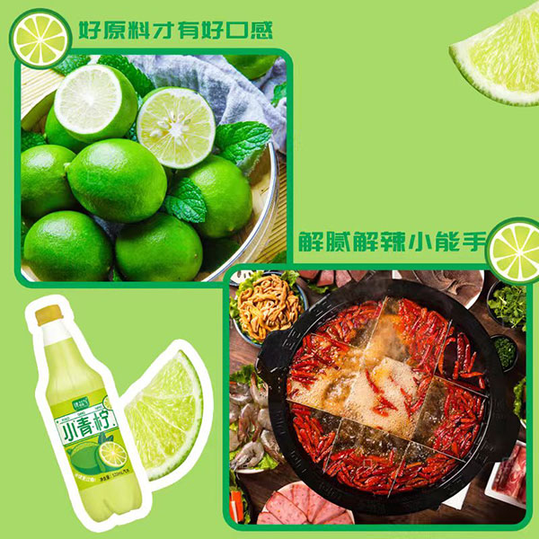 講益氣小青檸汁520ml 講益氣小青檸汁520ml