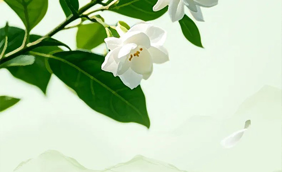 VĽpʳƷƼ޹˾--a(chn)Ʒ(c)2_06